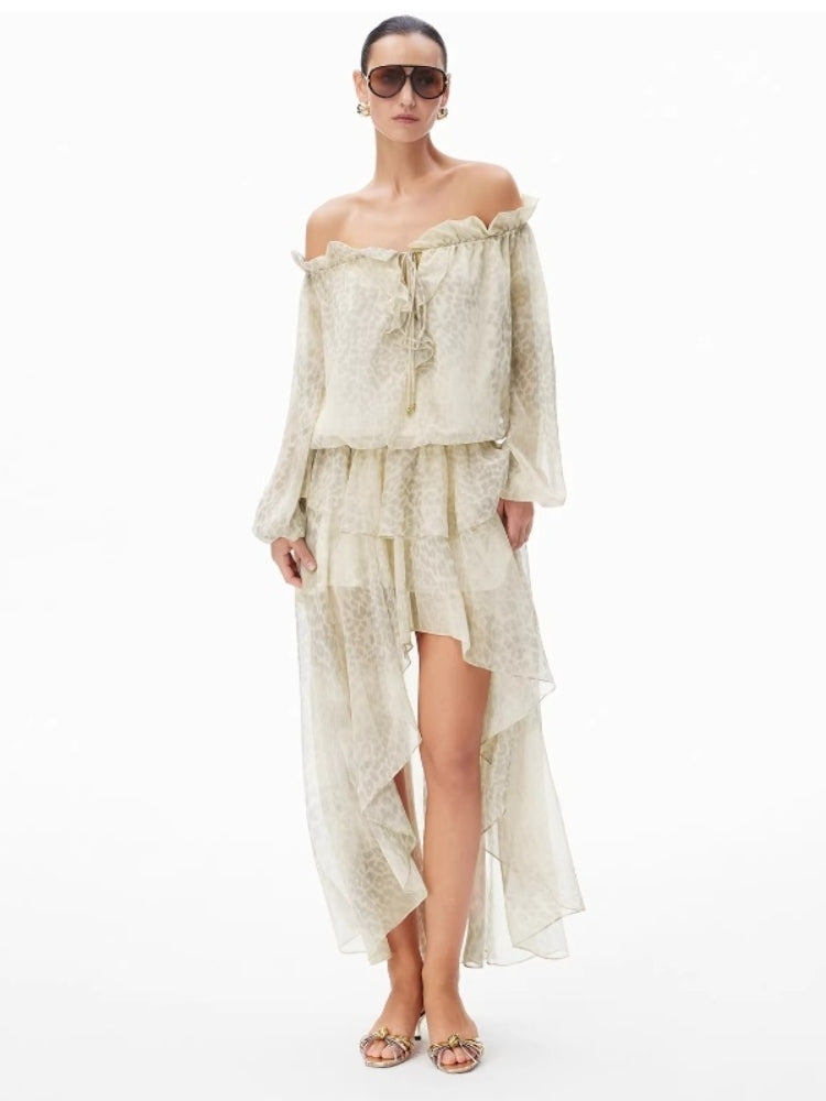 CNLEEWEI Off-the-Shoulder, Strapless Leopard-Print Puffed-Sleeve Resort-Style Dress